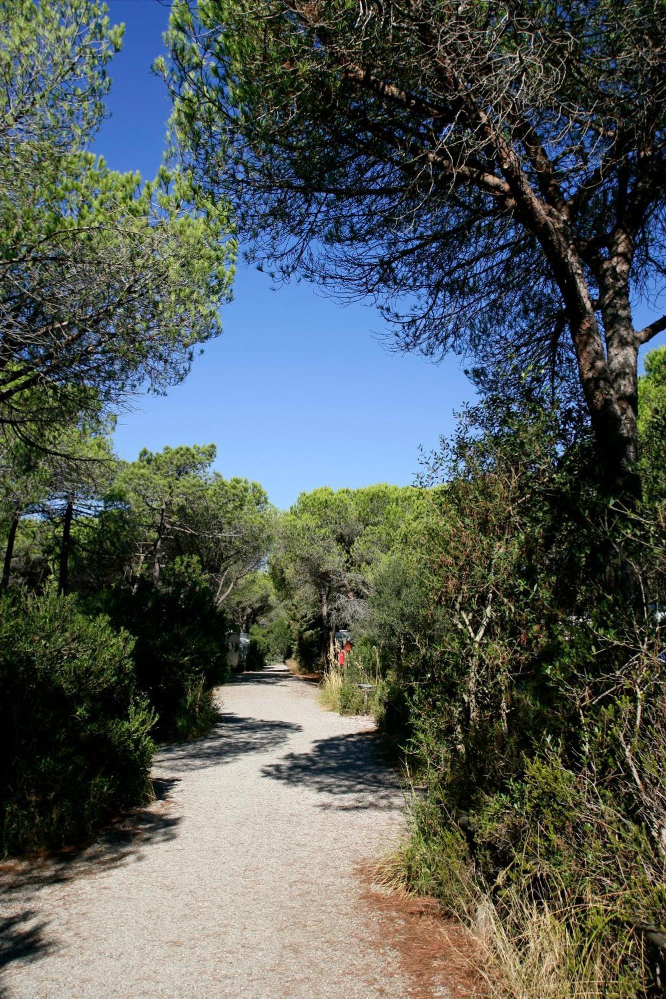 Camping Maremma Sans Souci Castiglione della Pescaia Exteriör bild