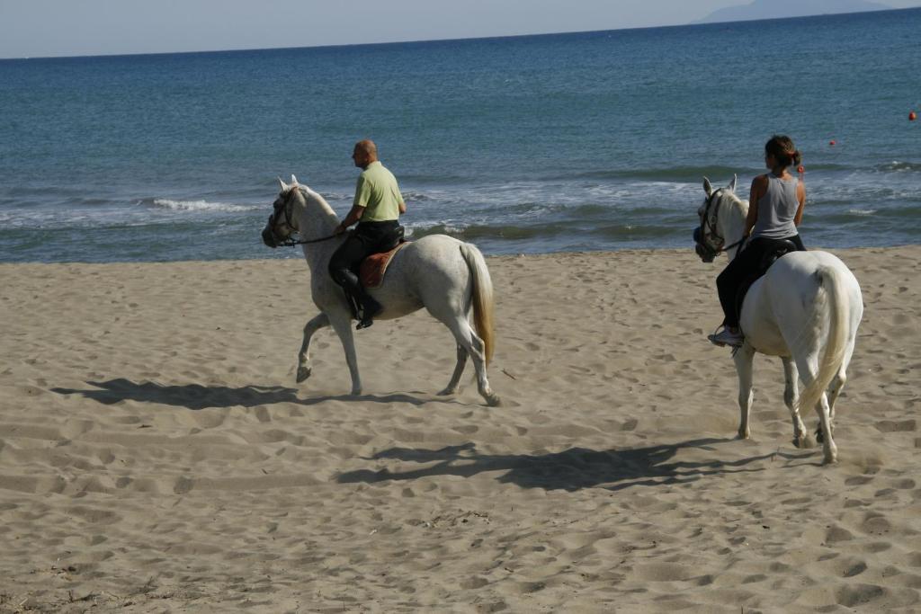 Camping Maremma Sans Souci Hotell Castiglione della Pescaia Exteriör bild