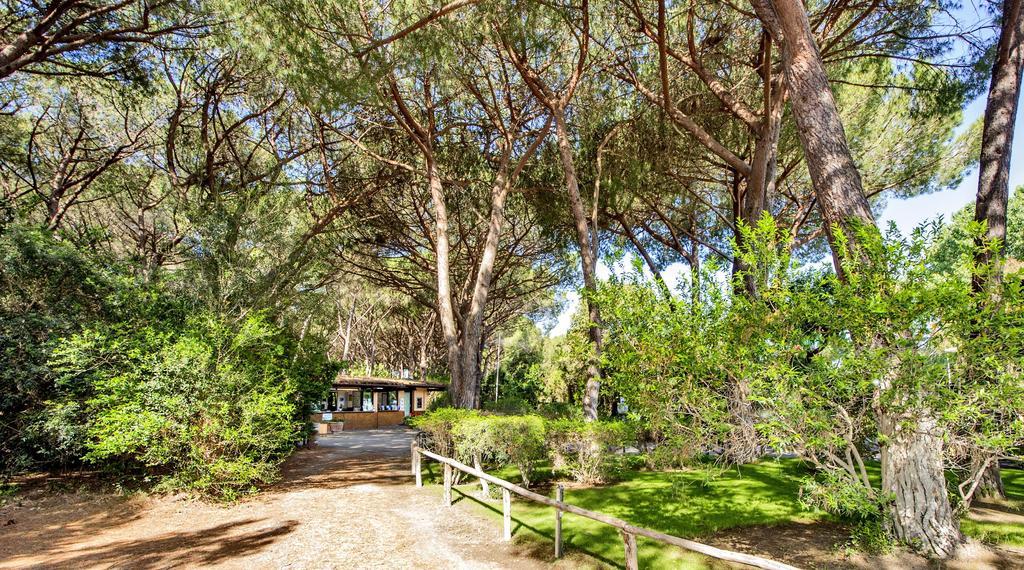 Camping Maremma Sans Souci Castiglione della Pescaia Exteriör bild